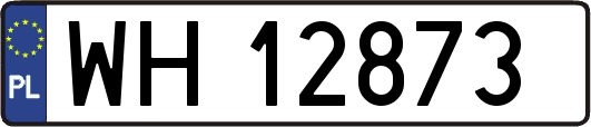 WH12873