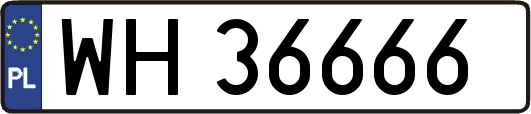 WH36666