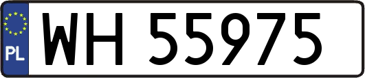 WH55975