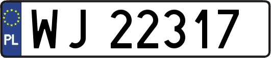 WJ22317