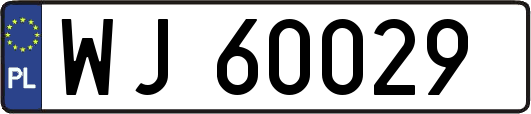 WJ60029