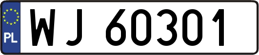 WJ60301