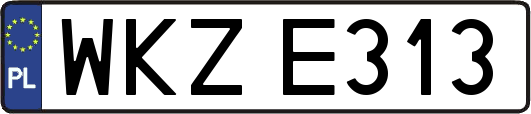 WKZE313