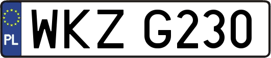 WKZG230