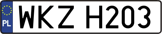 WKZH203