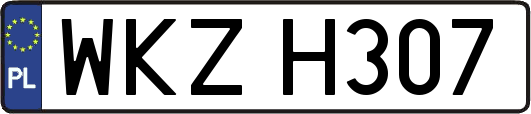 WKZH307