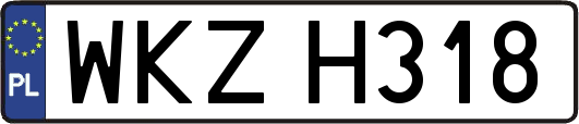 WKZH318