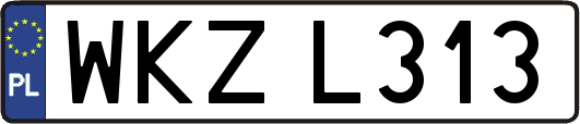 WKZL313