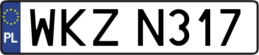 WKZN317