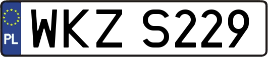 WKZS229