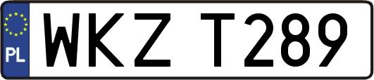 WKZT289