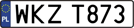 WKZT873
