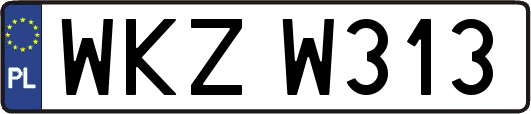 WKZW313