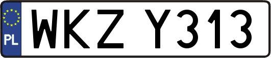 WKZY313
