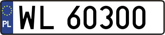 WL60300