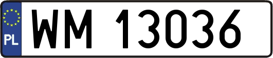 WM13036