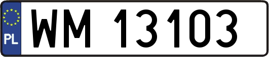WM13103