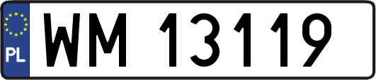 WM13119
