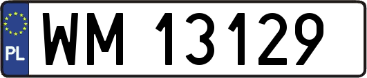 WM13129