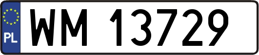 WM13729