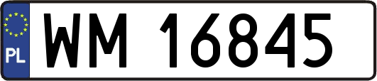 WM16845