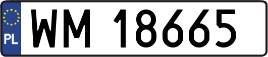 WM18665