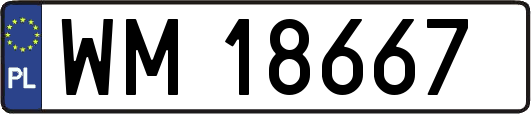 WM18667