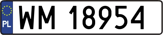 WM18954