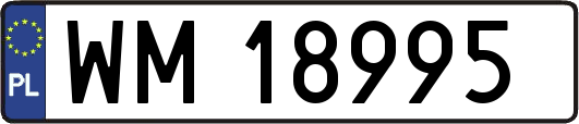 WM18995