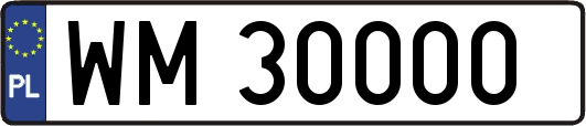 WM30000