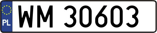 WM30603