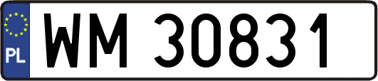 WM30831
