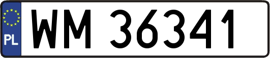 WM36341