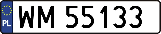 WM55133