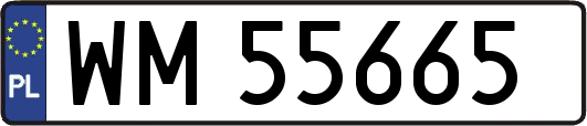 WM55665