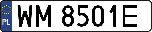 WM8501E
