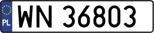 WN36803