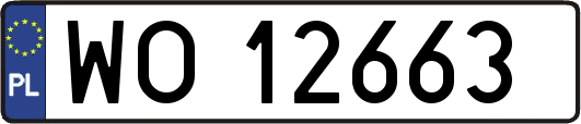 WO12663