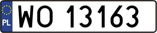 WO13163