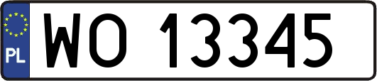 WO13345