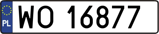 WO16877
