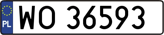 WO36593