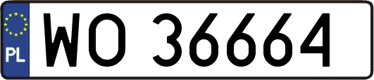 WO36664