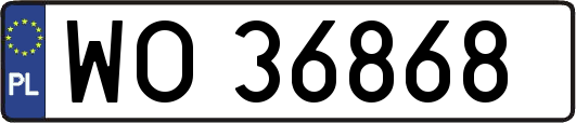 WO36868