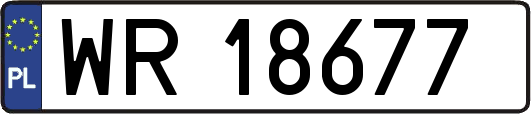 WR18677