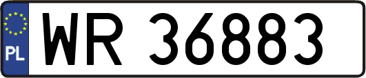 WR36883