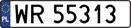 WR55313