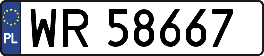 WR58667