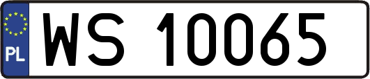 WS10065