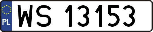 WS13153